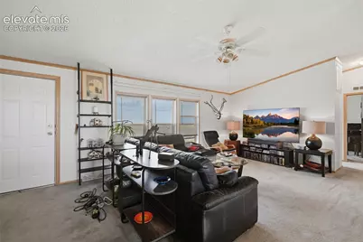 1005 Engleby Drive, Colorado Springs, CO 80930 - Photo 4