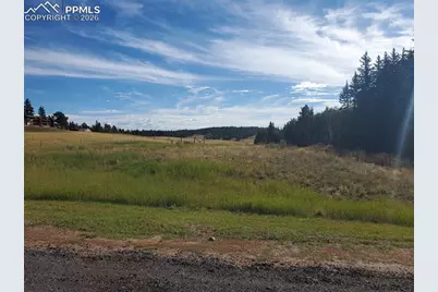 309 Pinaceae Heights, Divide, CO 80814 - Photo 2