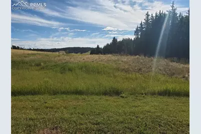 309 Pinaceae Heights, Divide, CO 80814 - Photo 6