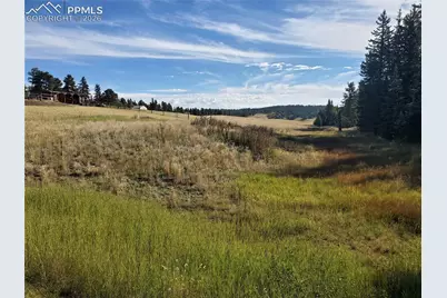 309 Pinaceae Heights, Divide, CO 80814 - Photo 10