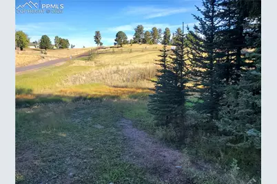 309 Pinaceae Heights, Divide, CO 80814 - Photo 18
