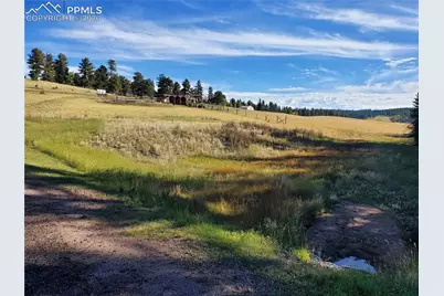 309 Pinaceae Heights, Divide, CO 80814 - Photo 1