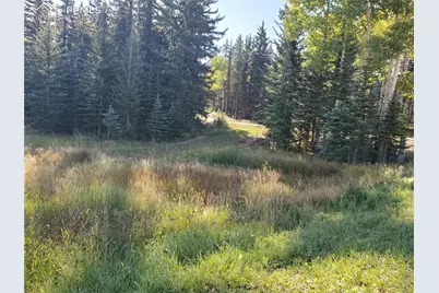 309 Pinaceae Heights, Divide, CO 80814 - Photo 12