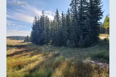 309 Pinaceae Heights, Divide, CO 80814 - Photo 8