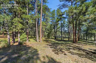 20470 Lockridge Dr, Colorado Springs, CO 80908 - Photo 46