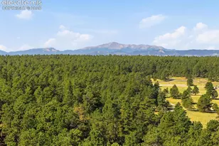 20470 Lockridge Dr, Colorado Springs, CO 80908 - Photo 50