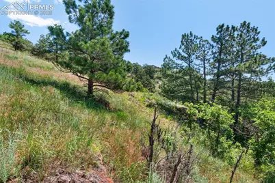 7137 Oak Valley Drive, Colorado Springs, CO 80919 - Photo 8