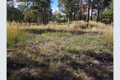 13395 Frank Road, Colorado Springs, CO 80908 - Photo 2