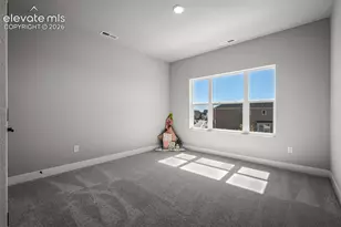 9030 Frolic Vw, Colorado Springs, CO 80924 - Photo 26
