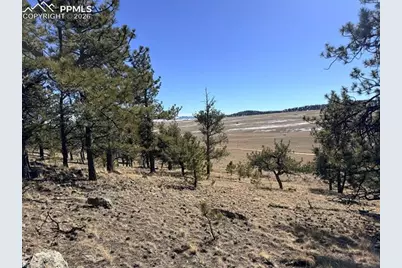 3464 Elkhorn Road, Hartsel, CO 80449 - Photo 30