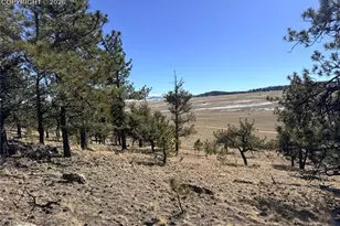 3464 Elkhorn Rd, Hartsel, CO 80449 - Photo 30