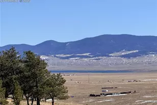 3464 Elkhorn Rd, Hartsel, CO 80449 - Photo 34