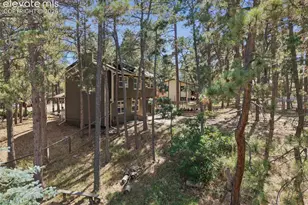 15040 Tari Ct, Colorado Springs, CO 80921 - Photo 10