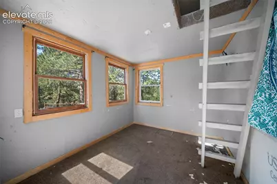 2775 Pathfinder Road, Florissant, CO 80816 - Photo 40