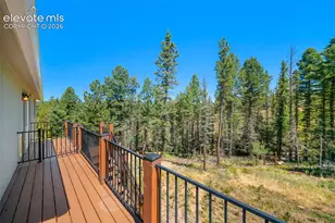 2775 Pathfinder Rd, Florissant, CO 80816 - Photo 34