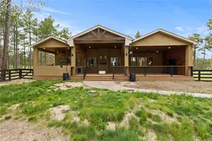 16104 Pole Pine Point, Colorado Springs, CO 80908 - Photo 46