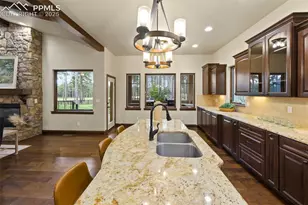 16104 Pole Pine Point, Colorado Springs, CO 80908 - Photo 14