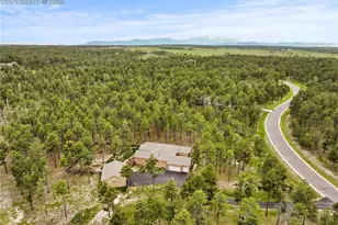 16104 Pole Pine Point, Colorado Springs, CO 80908 - Photo 50