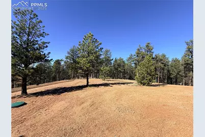 2627 Pikes Peak Drive, Florissant, CO 80816 - Photo 26