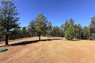 2627 Pikes Peak Dr, Florissant, CO 80816 - Photo 26