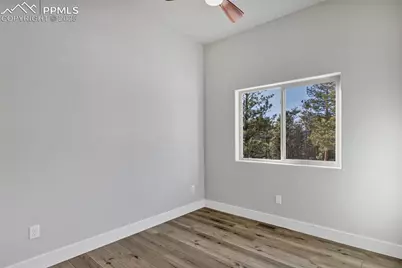 2627 Pikes Peak Drive, Florissant, CO 80816 - Photo 24