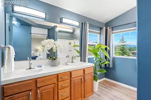 9959 Rose Leaf Ct, Colorado Springs, CO 80920 - Photo 24