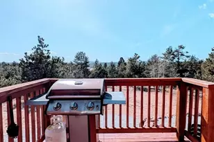 23 Nimbus Ln, Florissant, CO 80816 - Photo 4