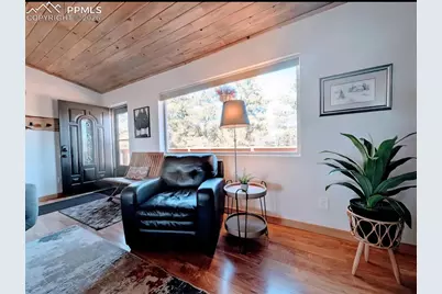 23 Nimbus Lane, Florissant, CO 80816 - Photo 14