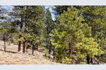 16 View Circle, Florissant, CO 80816 - Photo 14