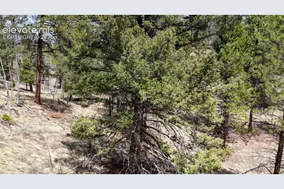 16 View Circle, Florissant, CO 80816 - Photo 16
