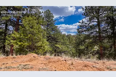 16 View Circle, Florissant, CO 80816 - Photo 4