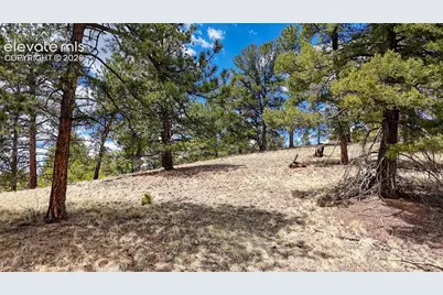 16 View Circle, Florissant, CO 80816 - Photo 2