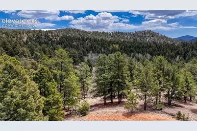 16 View Circle, Florissant, CO 80816 - Photo 10