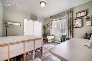 10059 Mount Princeton Drive, Peyton, CO 80831 - Photo 34