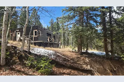 129 Mt Elbert Road, Florissant, CO 80816 - Photo 2