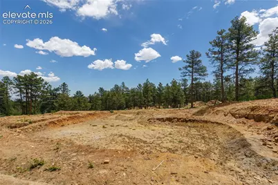8719 Ponderosa Pine Drive, Beulah, CO 81023 - Photo 8