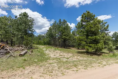 8719 Ponderosa Pine Drive, Beulah, CO 81023 - Photo 2