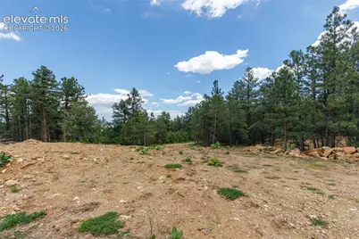 8719 Ponderosa Pine Drive, Beulah, CO 81023 - Photo 10