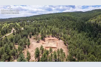 8719 Ponderosa Pine Drive, Beulah, CO 81023 - Photo 14
