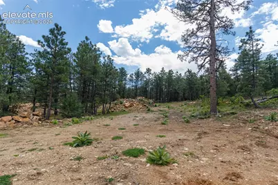8719 Ponderosa Pine Drive, Beulah, CO 81023 - Photo 4