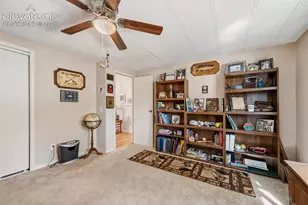 1299 Pikes Peak Dr, Florissant, CO 80816 - Photo 18