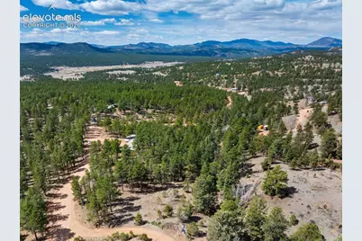 1299 Pikes Peak Drive, Florissant, CO 80816 - Photo 34