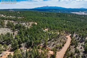 1299 Pikes Peak Dr, Florissant, CO 80816 - Photo 32