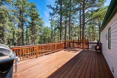1299 Pikes Peak Drive, Florissant, CO 80816 - Photo 22