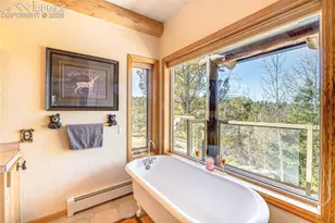 528 Mohawk Heights, Florissant, CO 80816 - Photo 20