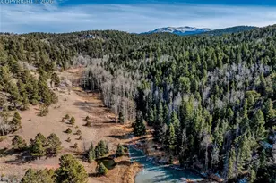 528 Mohawk Heights, Florissant, CO 80816 - Photo 46
