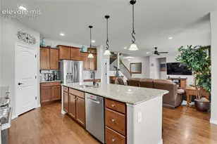 7158 Spring Linden Court, Colorado Springs, CO 80927 - Photo 10