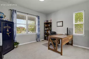 7158 Spring Linden Court, Colorado Springs, CO 80927 - Photo 20