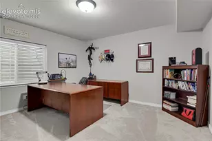 7158 Spring Linden Court, Colorado Springs, CO 80927 - Photo 36