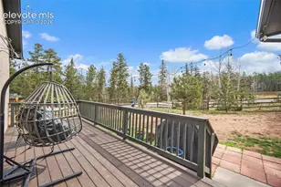 1101 Ptarmigan Dr, Woodland Park, CO 80863 - Photo 30